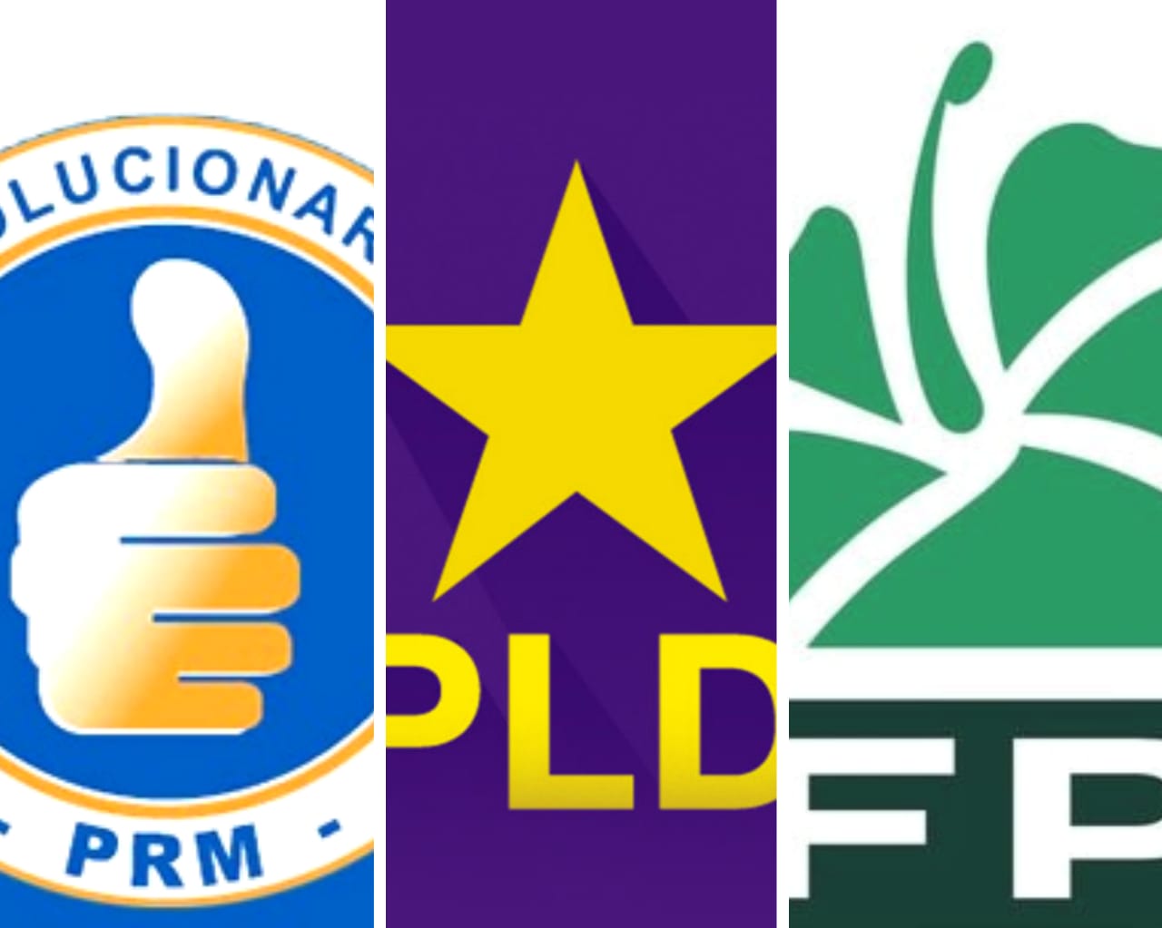 partidos-politicos-niegan-esten-haciendo-campana-para-promover-candidatos