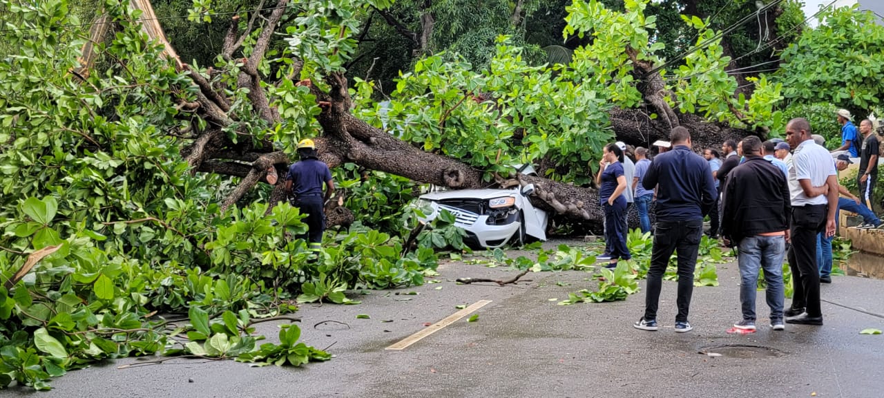 muere-hombre-tras-caerle-arbol-al-vehiculo-que-conducia