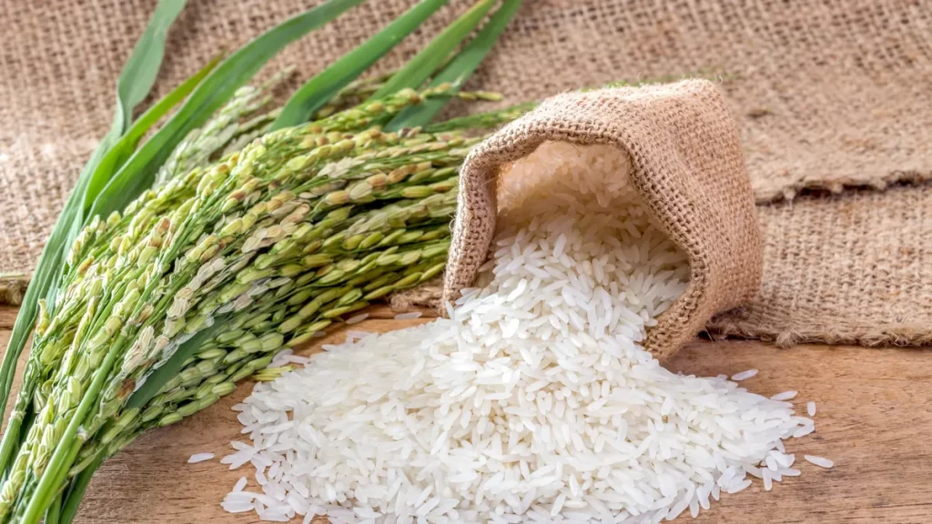 gobierno-subsidiara-con-rd$-1,550-millones-mas-a-productores-arroceros