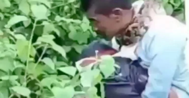 hombre-casi-es-devorado-por-una-serpiente-mientras-hacia-sus-necesidades