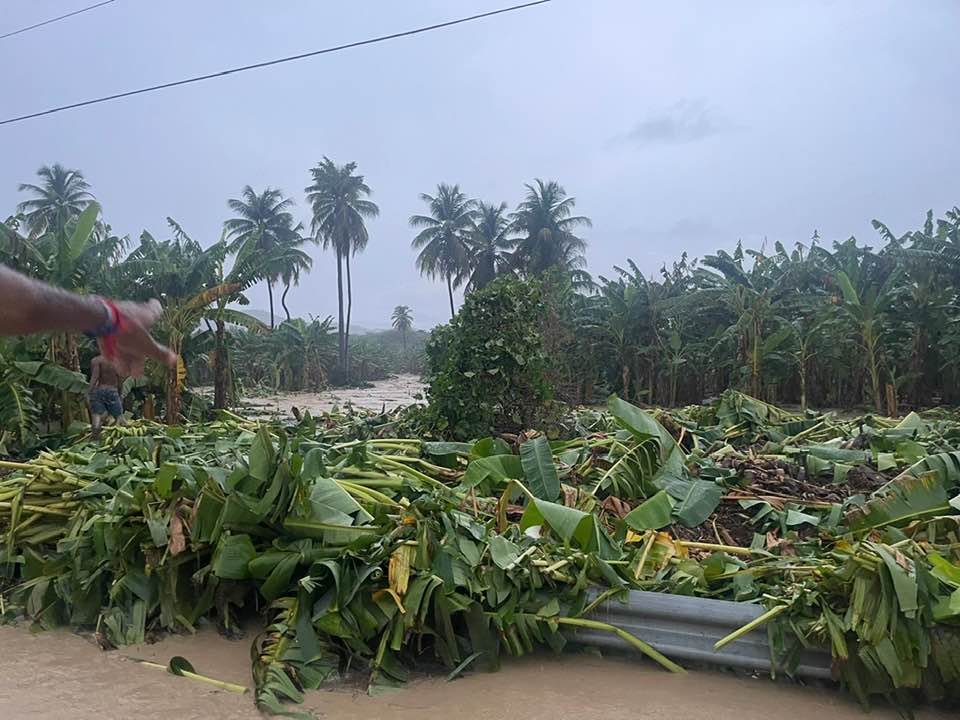fuertes-lluvias-caidas-en-bahoruco-provocan-severos-danos-en-la-agricultura
