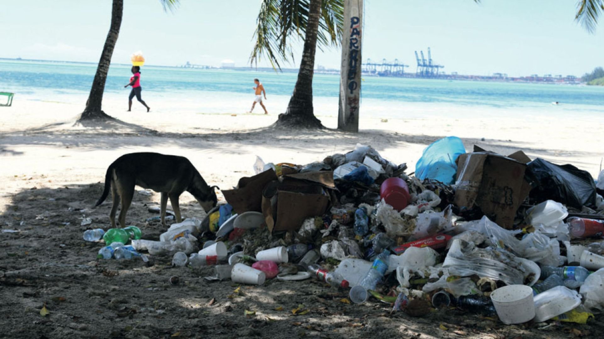 la-basura-continua-arropando-al-municipio-de-boca-chica