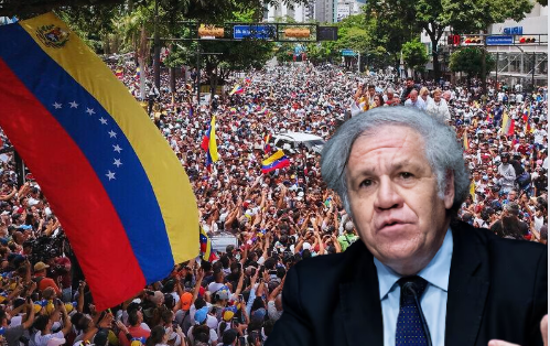 secretaria-general-de-la-oea-hace-un-llamado-de-paz-ante-situacion-en-venezuela
