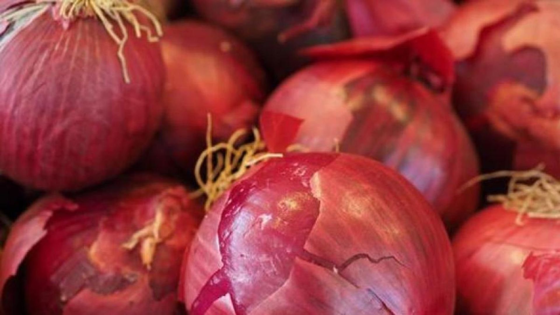 productores-de-cebolla-exigen-al-gobierno-pago-de-produccion