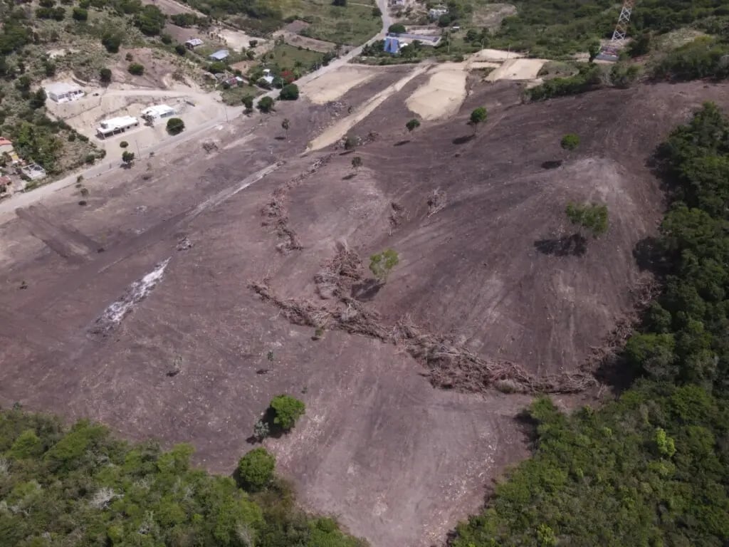 ordenan-arresto-contra-acusado-de-provocar-desmonte-de-bosque-seco