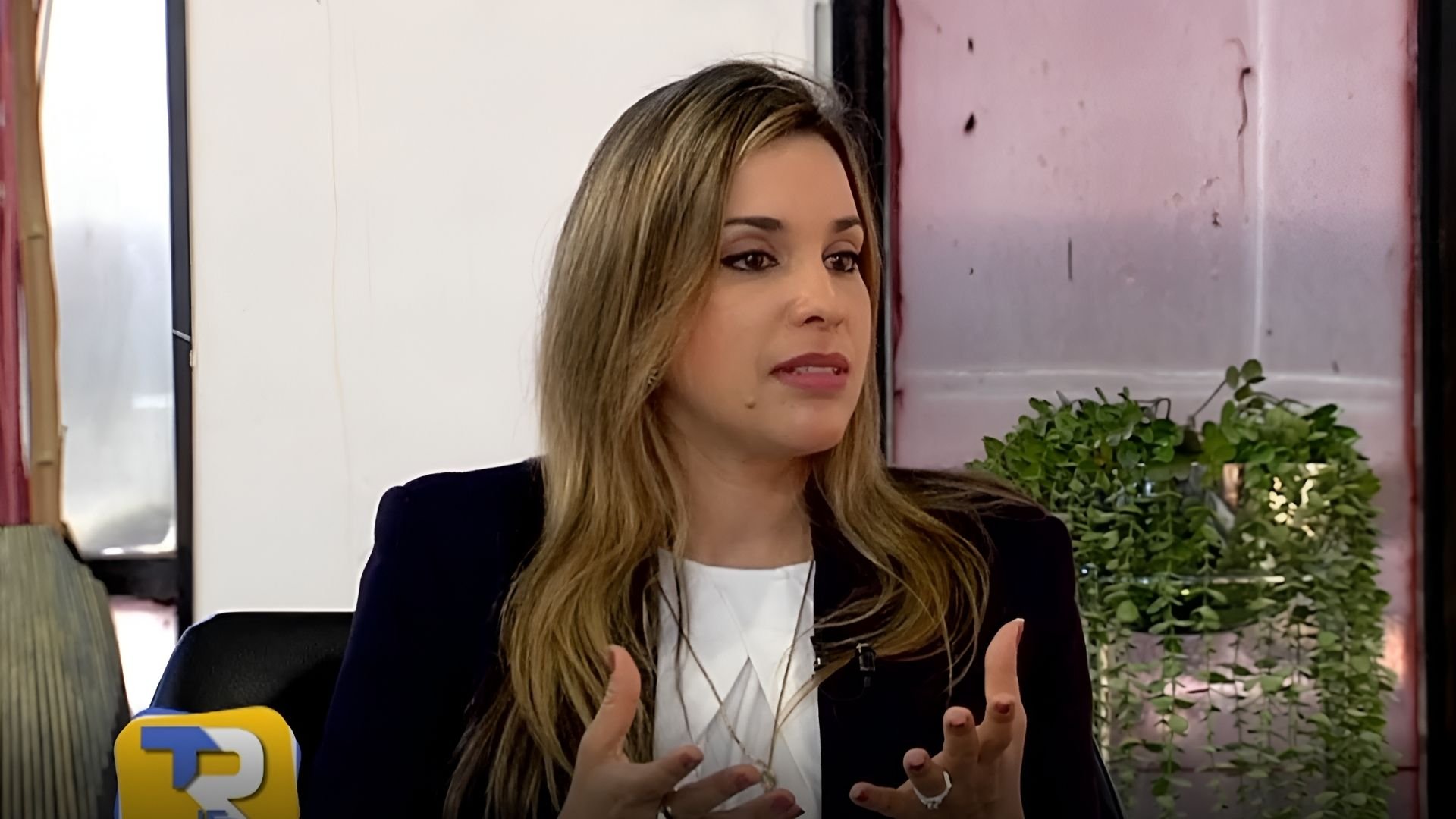 video:-acoprovi-demanda-acciones-para-estabilizar-costo-de-viviendas