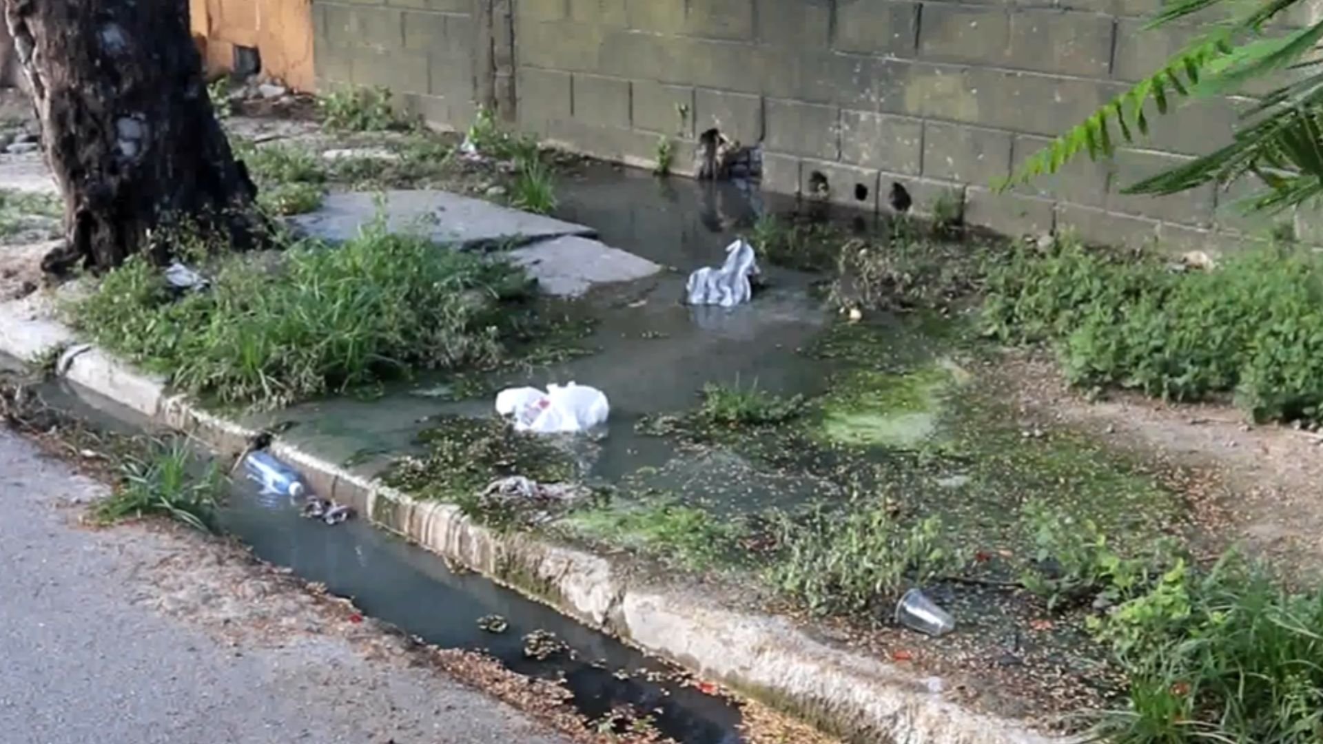denuncian-no-aguantar-mas-sistema-sanitario-colapsado-de-la-fortaleza-19-de-marzo