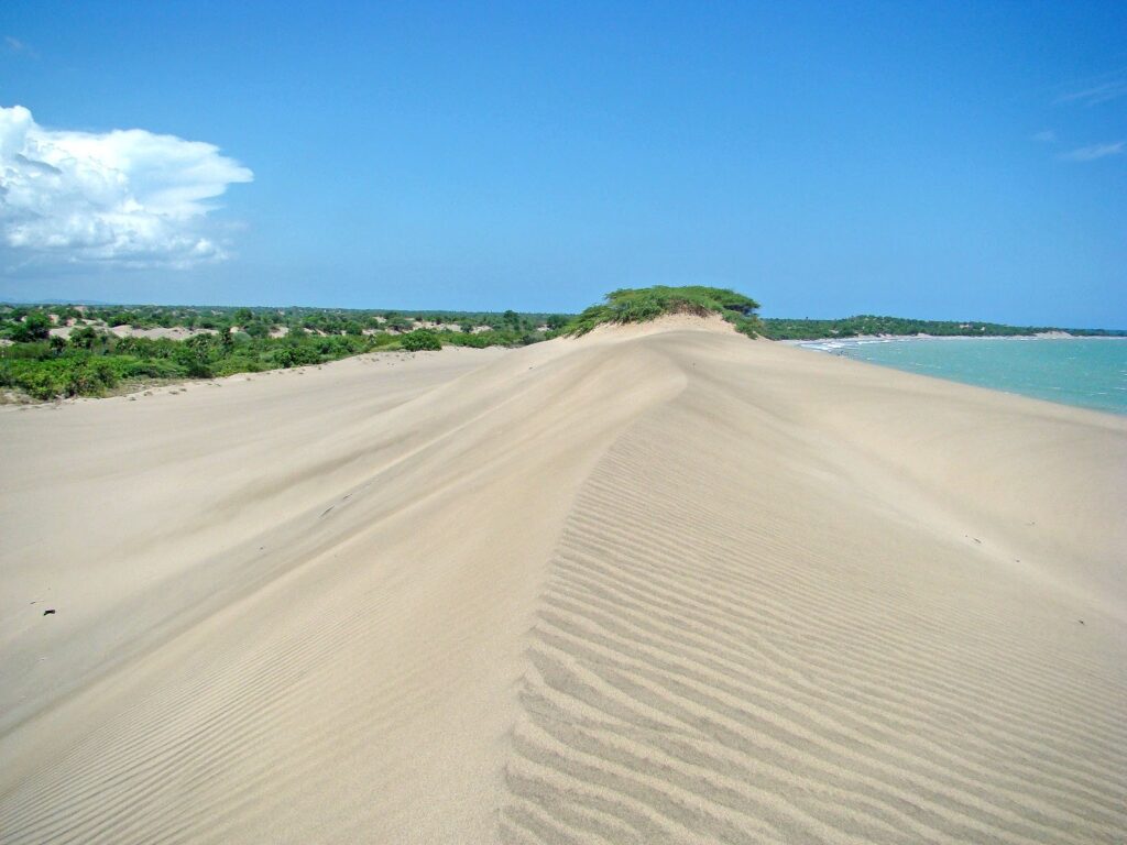 concluye-plazo-otorgado-por-medio-ambiente-para-habitantes-en-dunas-de-bani