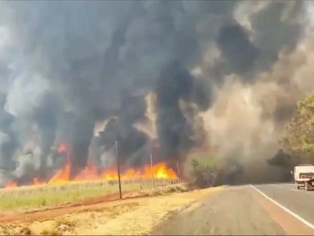 ola-de-incendios-en-brasil-causa-dos-muertos-y-pone-en-alerta-a-30-municipios