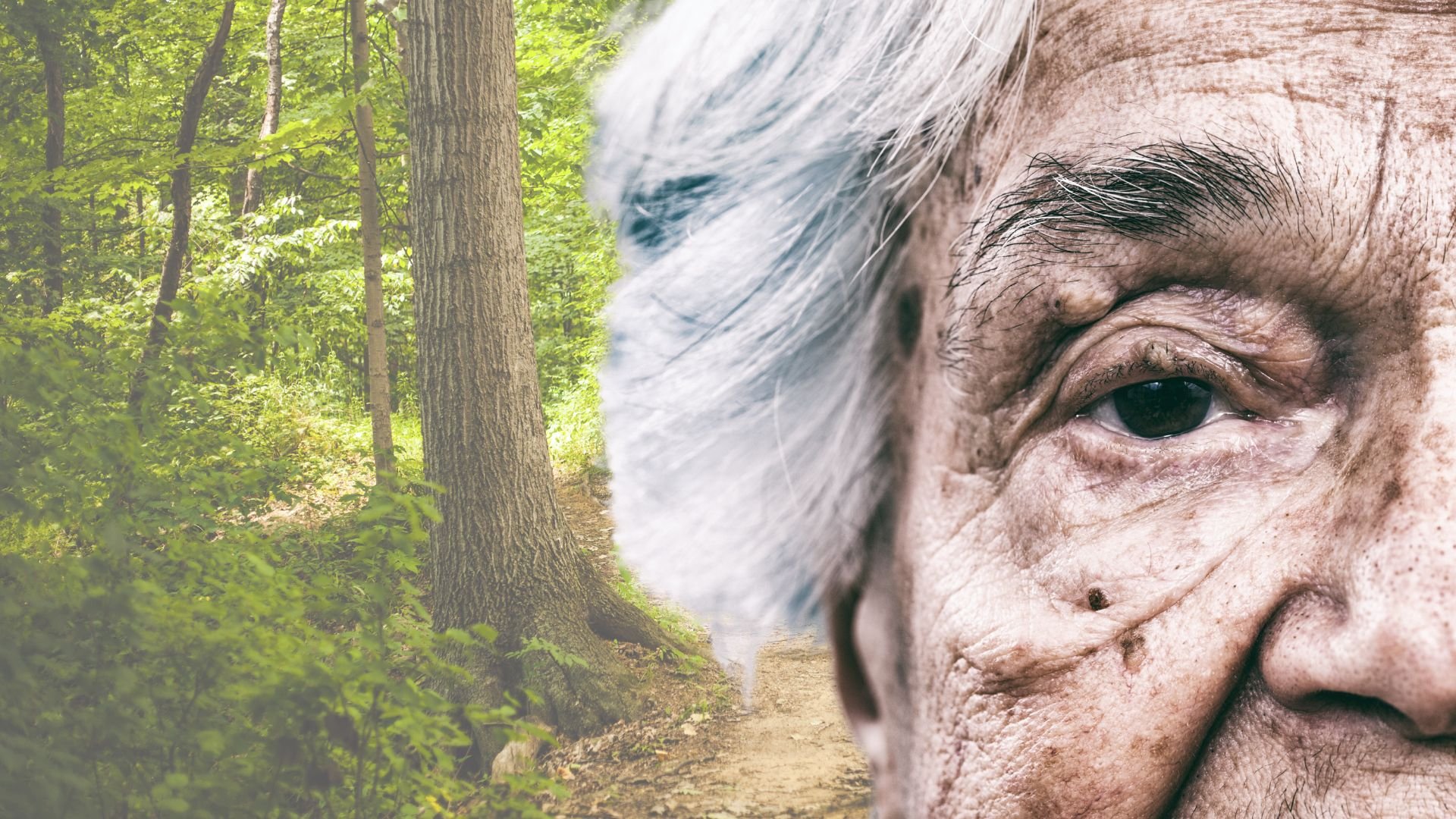anciana-de-88-anos-sobrevive-4-dias-en-un-bosque-del-norte-de-italia