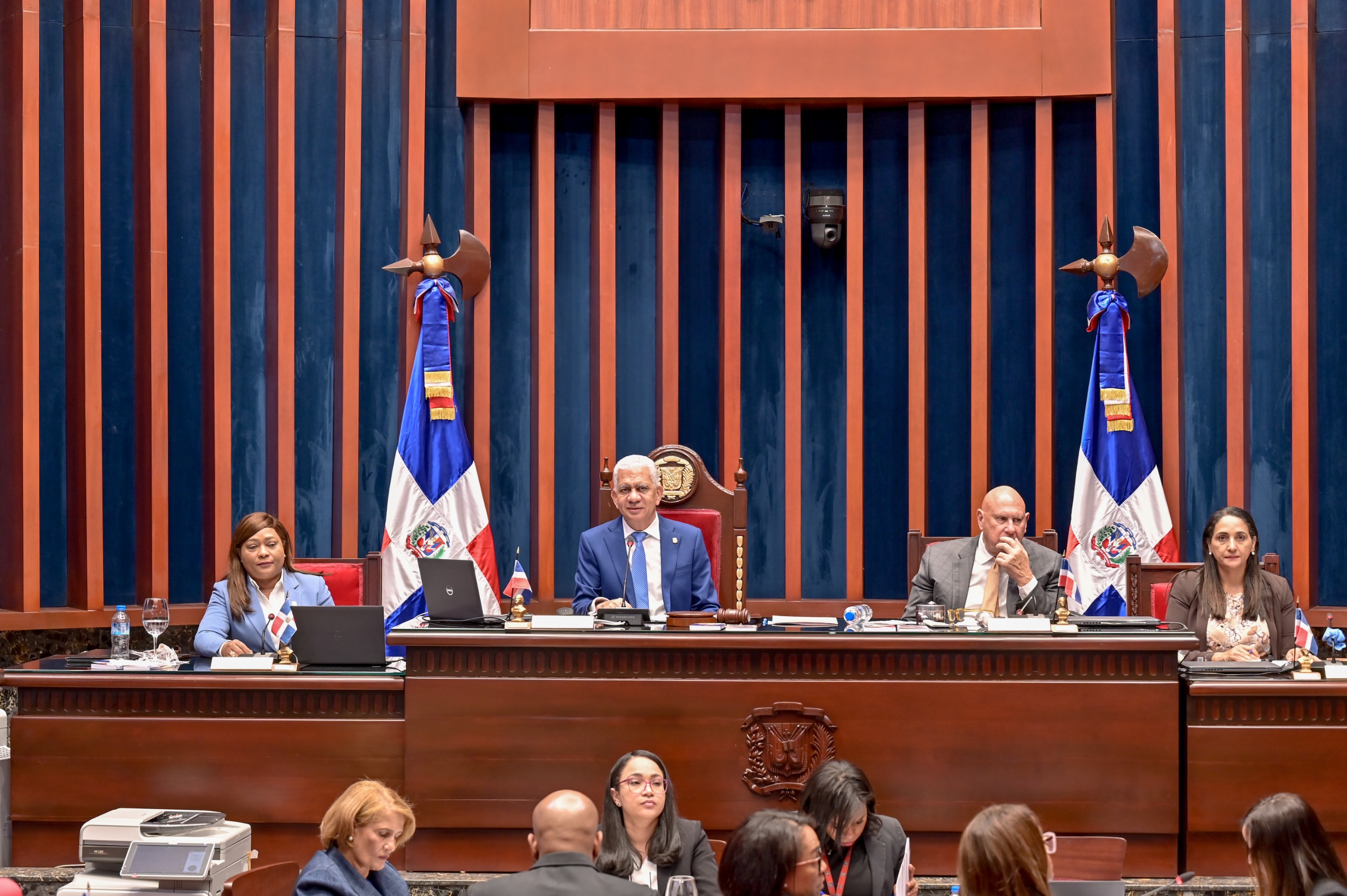 senado-conforma-30-comisiones-de-trabajo-y-una-especial-para-investigar-caso-falcondo
