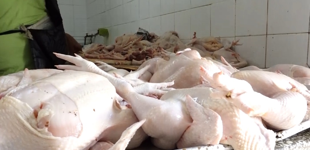 reportaje-comerciantes-y-amas-de-casa-pegan-el-grito-al-cielo-por-alzas-precios-carne-de-pollo