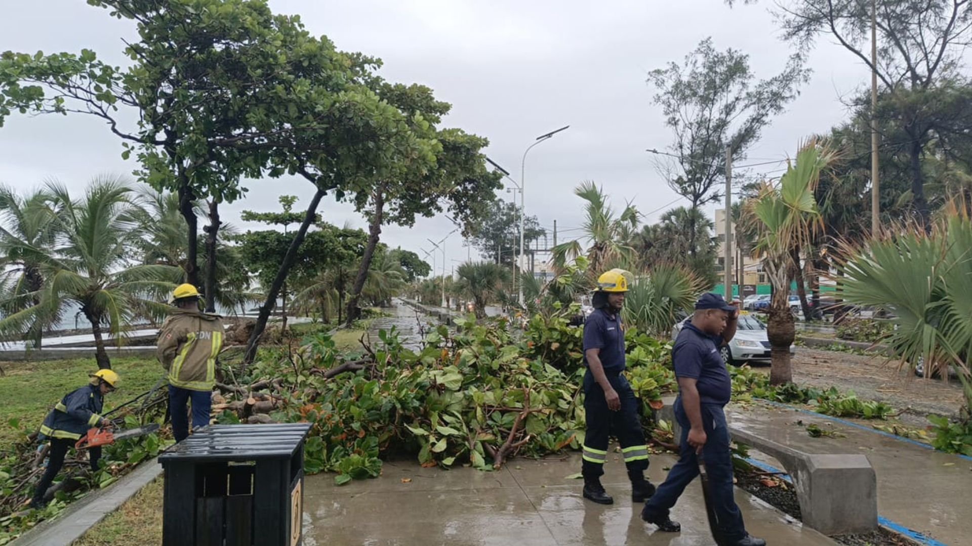 bomberos-y-alcaldia-dn-retiran-arboles-caidos-y-recuperan-zonas-afectadas-por-lluvias
