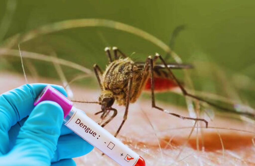 salud-publica-reporta-6-nuevos-casos-de-dengue-a-nivel-nacional