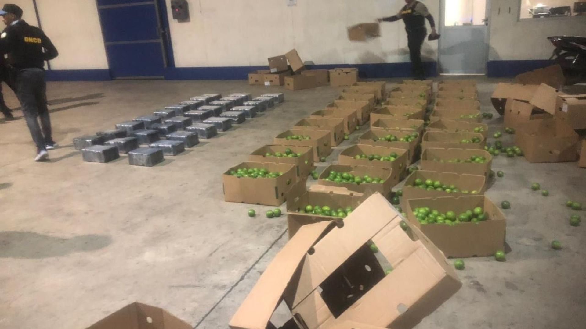 decomisan-201-kilos-de-presunta-cocaina-en-cajas-de-limones