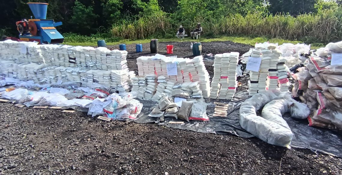 inacif-quema-otros-363-kilogramos-de-distintas-sustancias-controladas