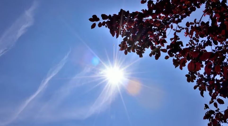 viernes-soleado-en-horas-matutinas-con-aguaceros-y-tronadas-en-la-tarde