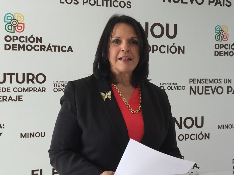 minou-tavarez-mirabal-apuesta-por-el-relevo-en-opcion-democratica