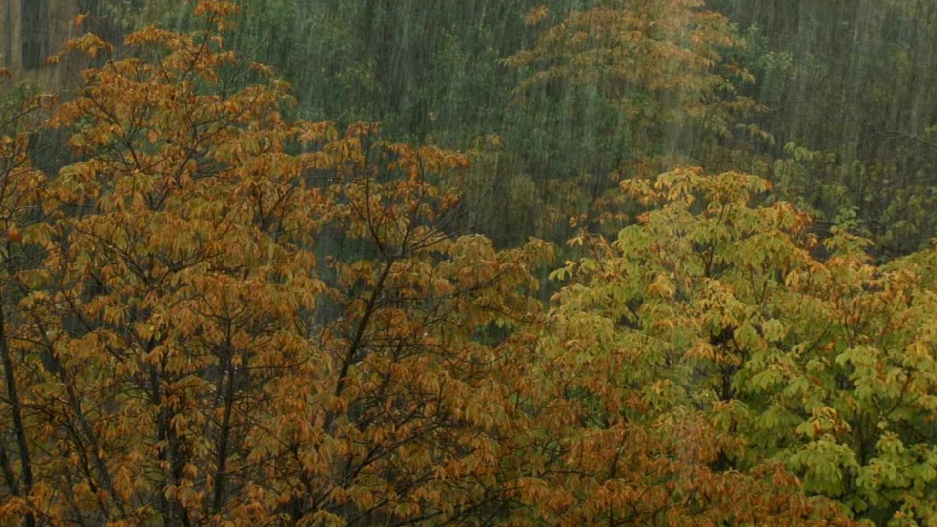 rd-le-da-la-bienvenida-al-otono-con-lluvias-en-el-suroeste-y-noreste-del-pais
