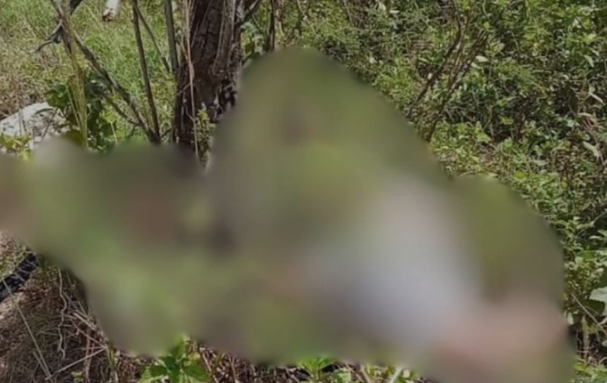 encuentran-hombre-muerto-en-autopista-6-de-noviembre