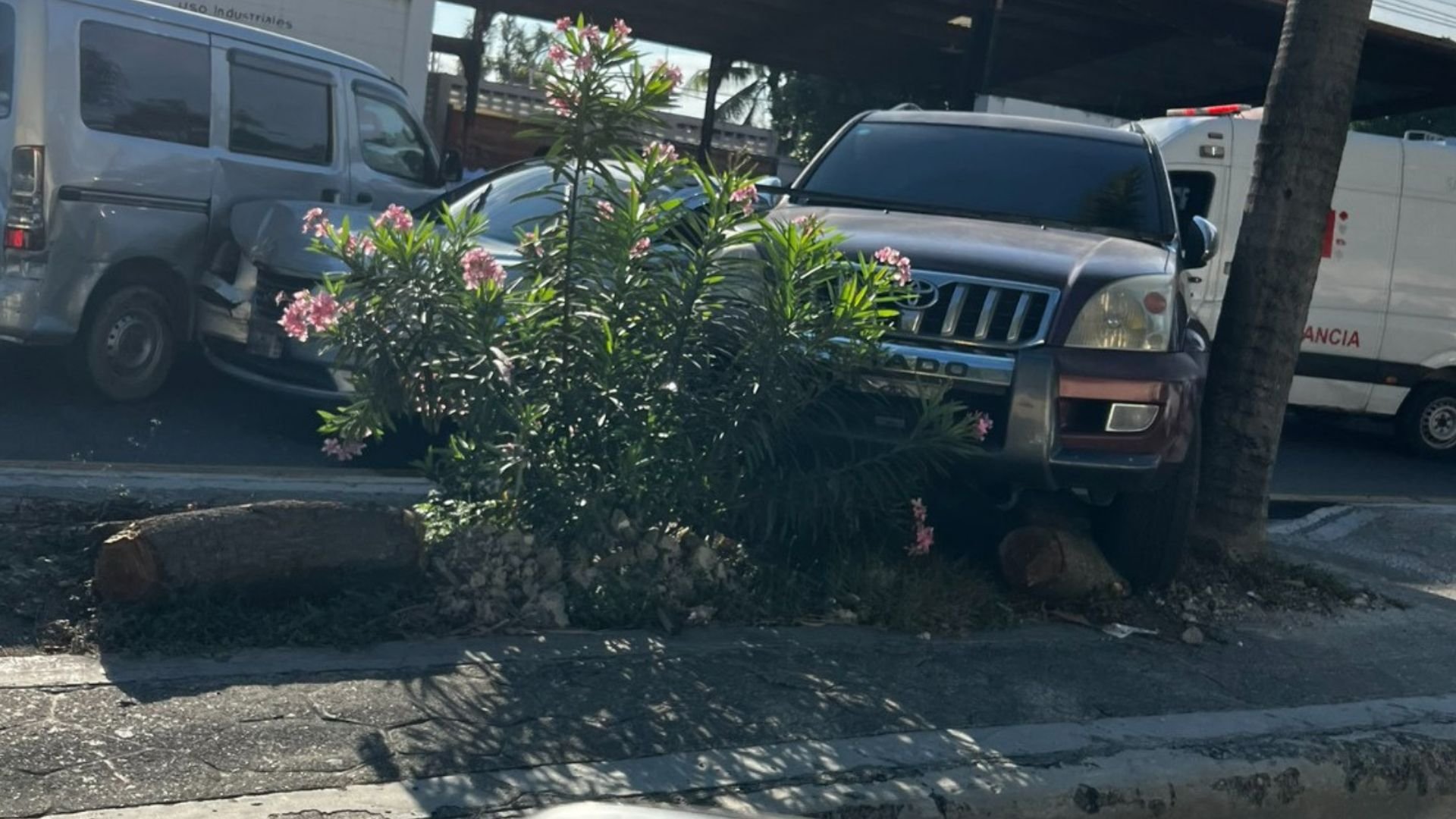 un-muerto-y-varios-heridos-frente-a-escuela-socorro-sanchez-en-villa-duarte