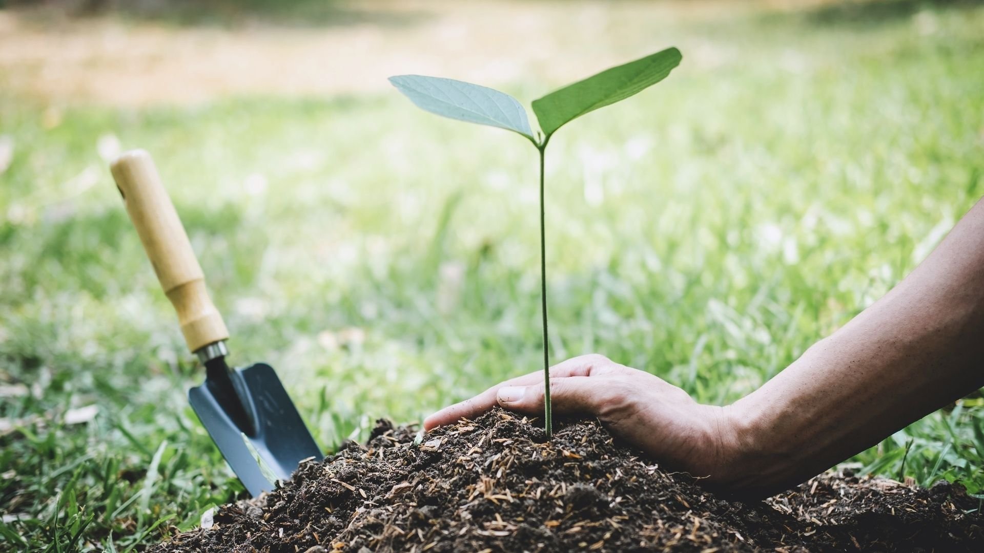 firman-acuerdo-para-que-reos-reforesten-cuencas-hidrograficas-del-pais