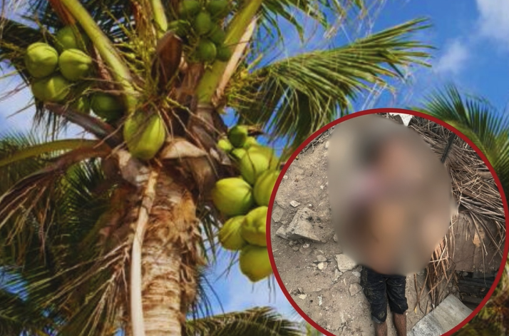 hombre-muere-al-caer-de-una-mata-de-coco-en-azua