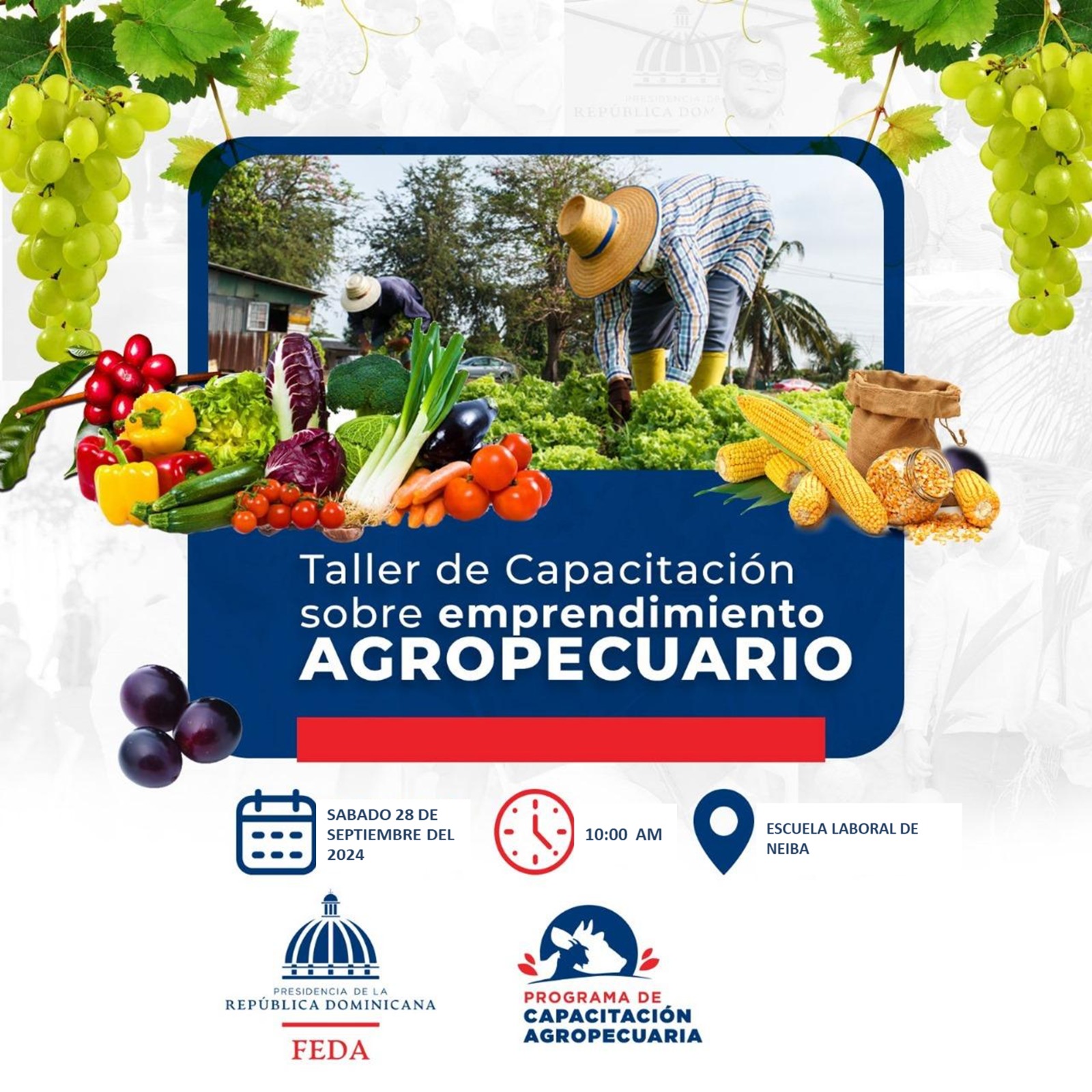 el-feda-impartira-jornada-de-capacitacion-sobre-emprendimiento-agropecuario-este-sabado
