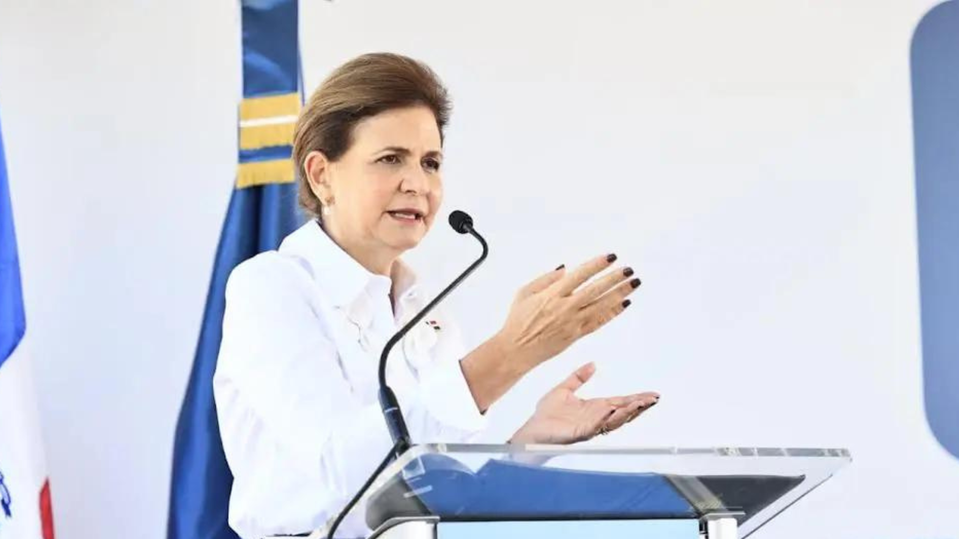 vicepresidenta-ve-necesaria-la-legalizacion-de-la-mano-de-obra-haitiana