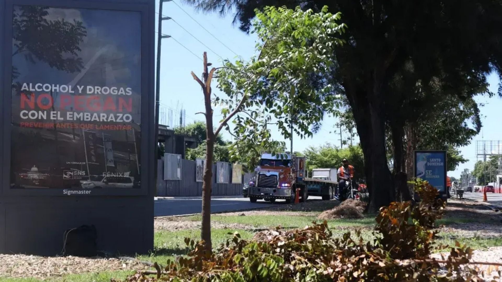 empresa-mutila-arboles-para-obtener-mayor-vistosidad-de-sus-publicidades