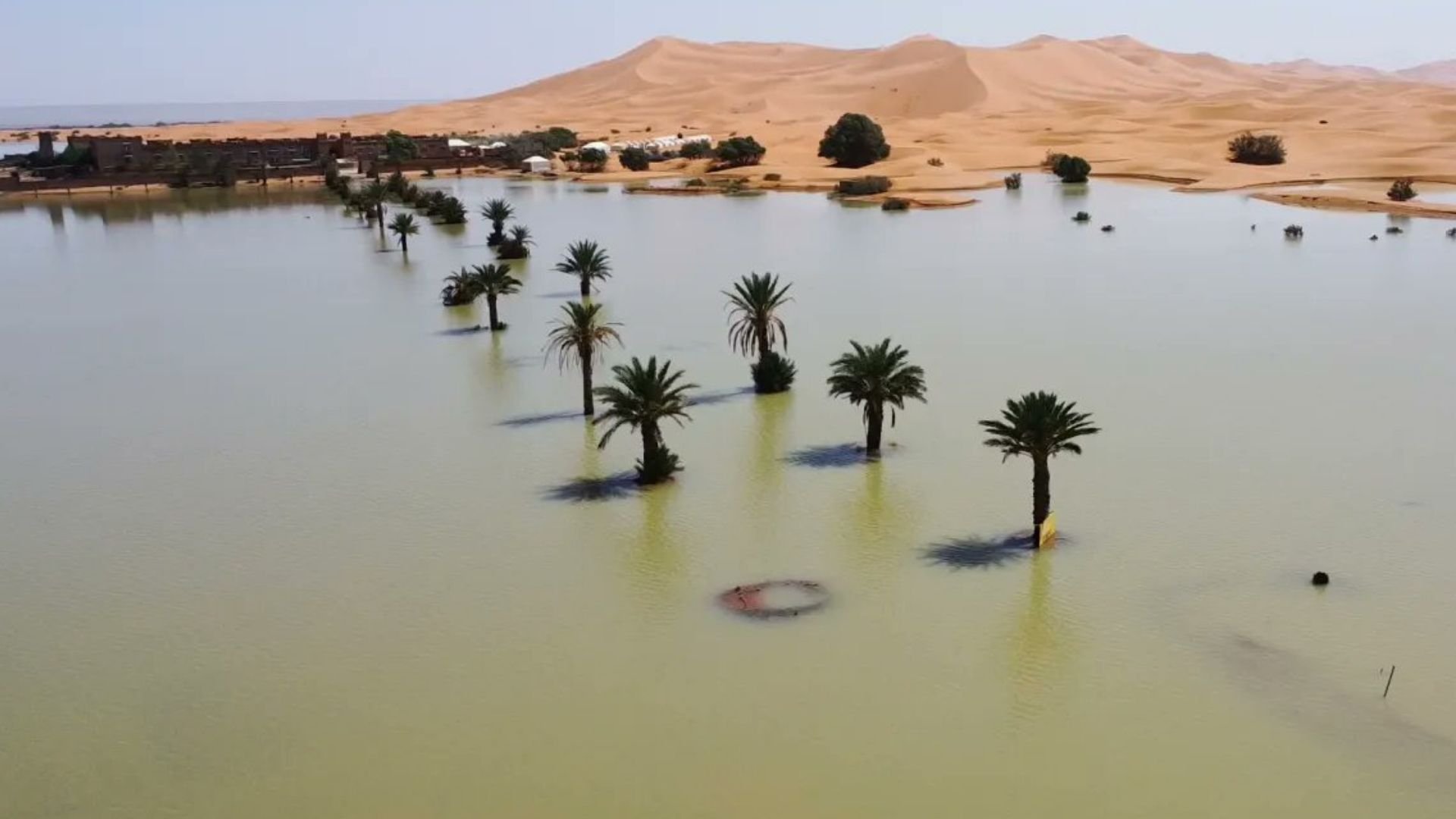 ¡sorprendente!-desierto-del-sahara-como-nunca-se-habia-visto