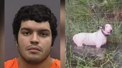 arrestan-a-hombre-que-dejo-a-su-perro-atado-a-valla-antes-de-llegada