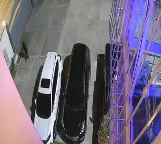 roban-retrovisores-en-residencial-de-santo-domingo-norte