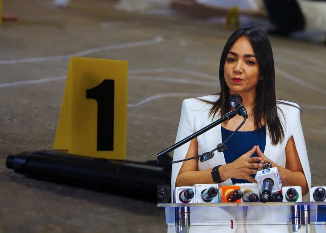 faride-raful-destaca-que-la-tasa-de-homicidios-se-mantine-en-9.63-por-cada-100-mil-habitantes