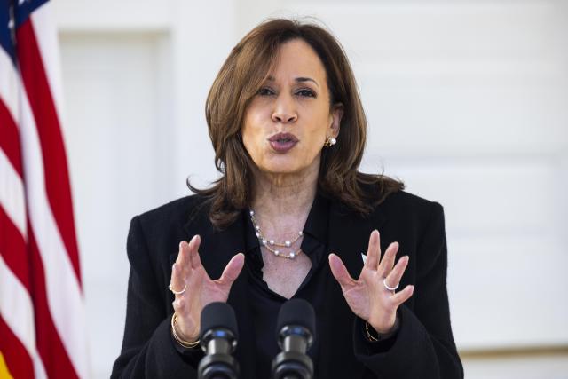 kamala-se-describe-como-una-«capitalista-pragmatica»-ante-los-votantes-latinos