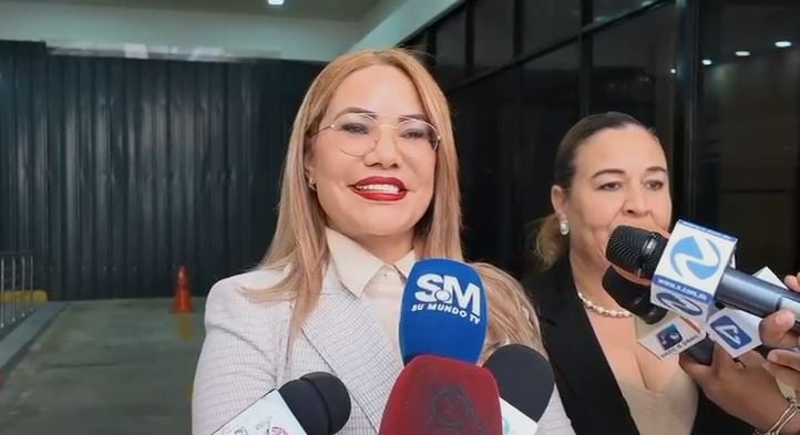carmen-de-la-rosa:-“la-fuerza-del-pueblo-y-el-pld-no-tienen-calidad-moral-para-cuestionar-prestamos-del-gobierno”
