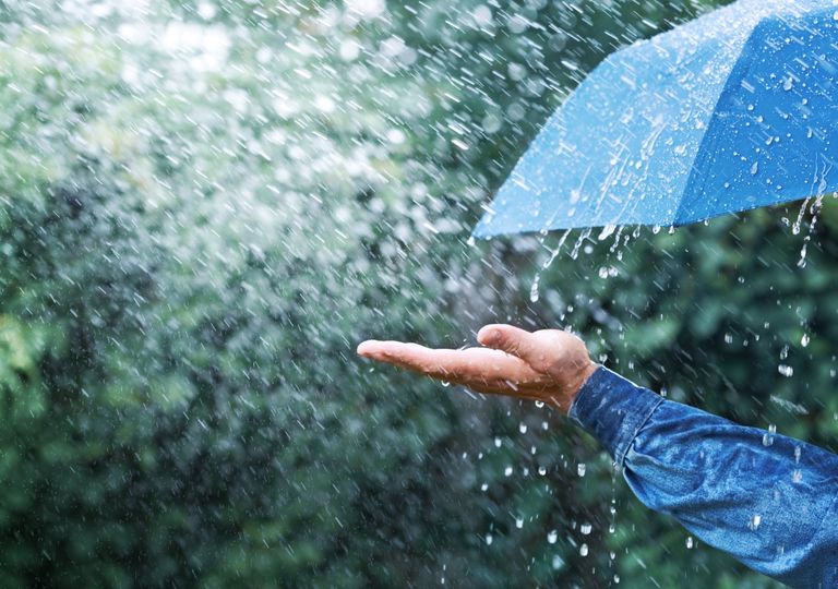 un-domingo-con-abundantes-lluvias,-tronadas-y-rafagas-de-viento