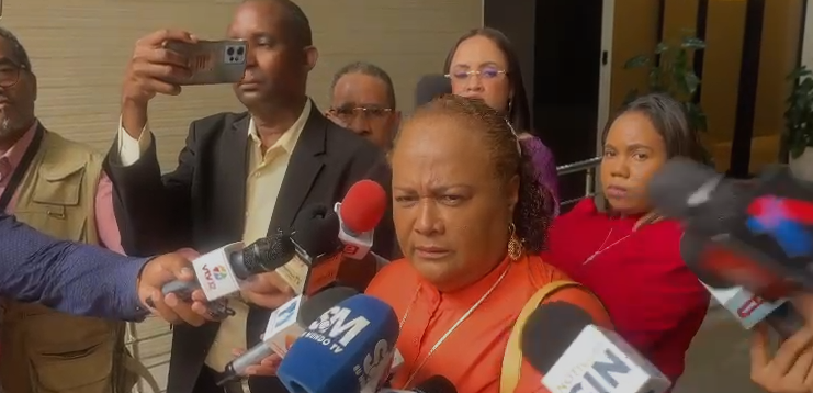 diputada-del-pld-niega-que-se-haya-hablado-de-rehabilitar-a-danilo-medina-en-reforma-constitucional