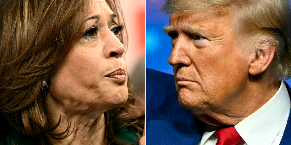 elecciones-en-estados-unidos-2024:-los-7-“swing-states”-que-seran-la-clave-en-los-comicios