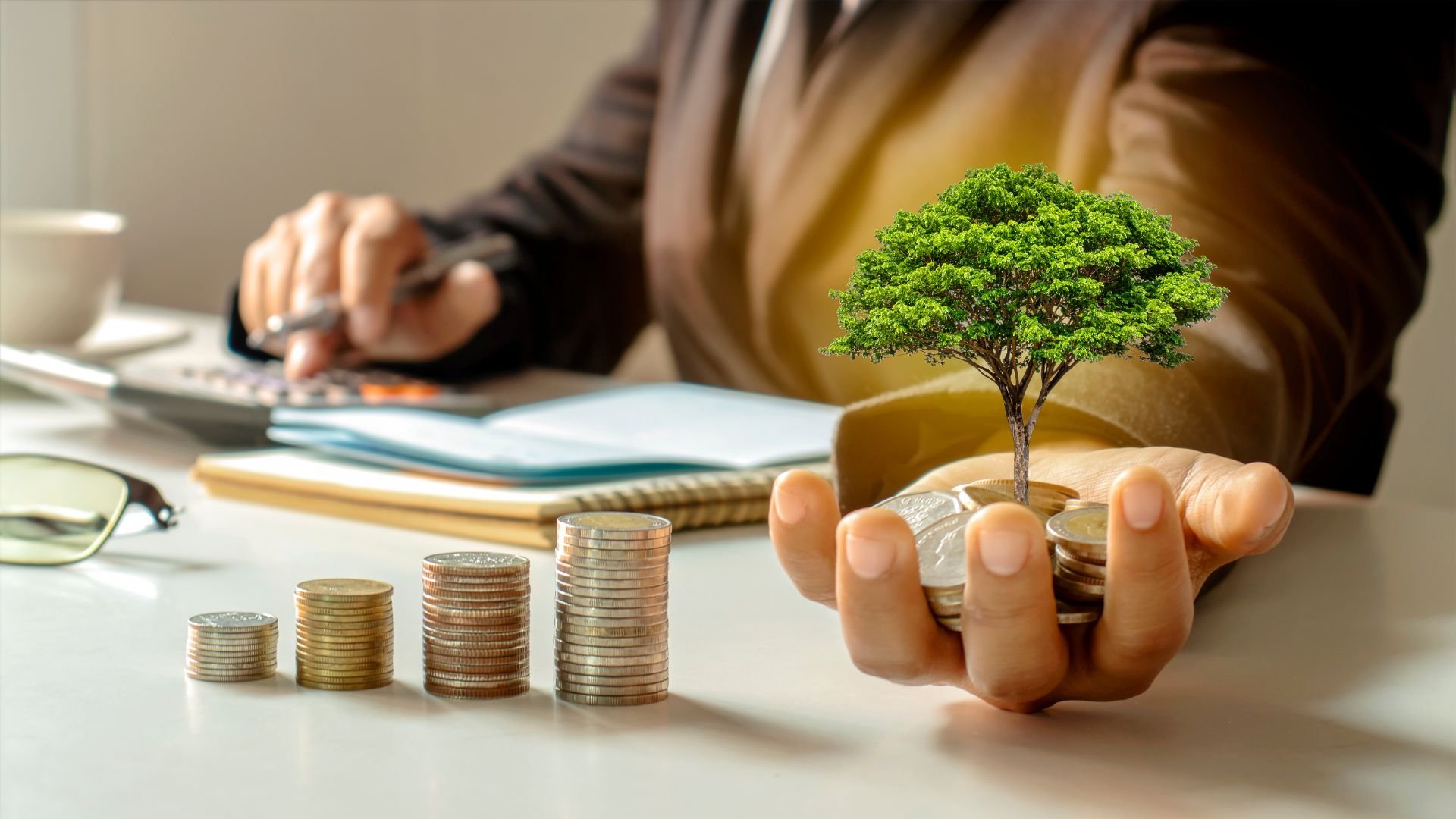 ahorro-en-rd-crece-un-14%-anual-en-dos-decadas,-aun-por-debajo-del-promedio-regional