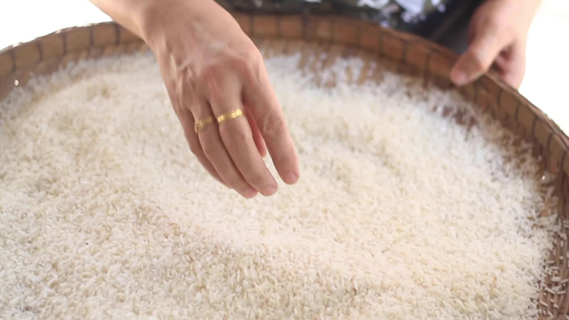 dia-internacional-del-arroz