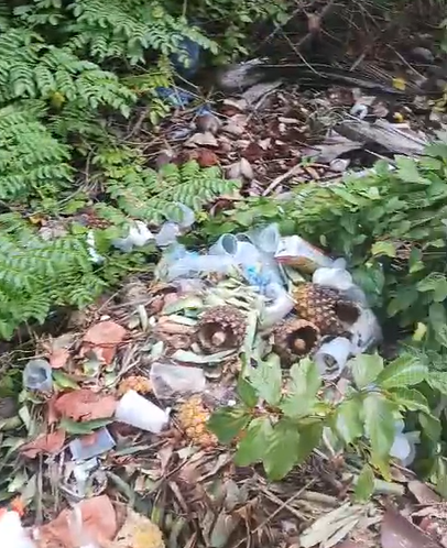 video:-residentes-de-isla-saona-denuncian-gran-cumulo-de-basura-que-pudiera-afectar-el-turismo