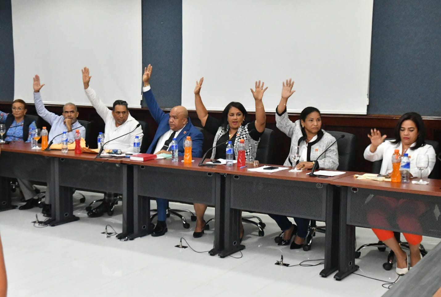 video-amparo-custodio-retira-su-renuncia-y-asume-la-alcaldia-de-la-vega