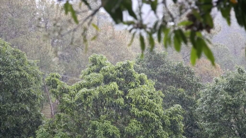 este-miercoles-continuaran-las-lluvias-en-forma-de-chubascos-con-tronadas-aisladas