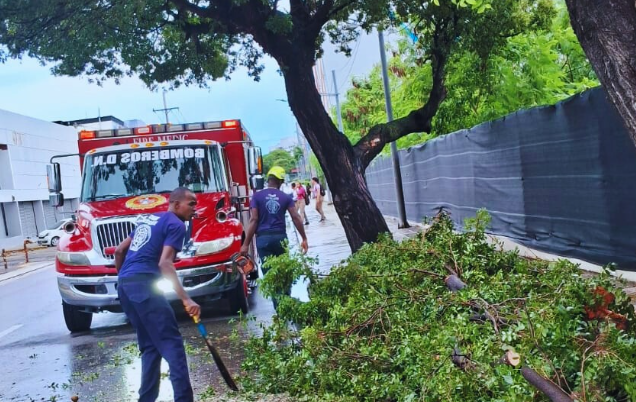 adn-cierra-parques-y-retira-arboles-caidos-tras-fuertes-lluvias