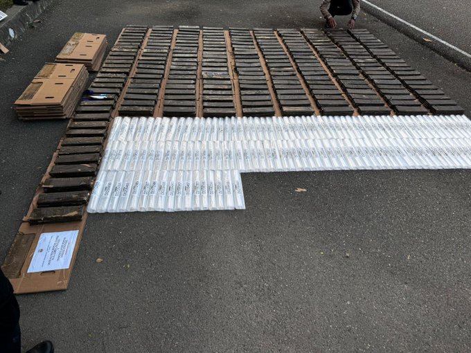 confiscan-880-laminas-de-presunta-cocaina-camufladas-en-cajas-de-carton-en-santiago