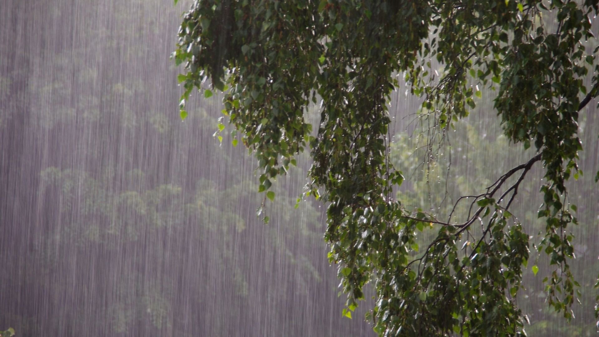se-preven-aguaceros-locales-con-tronadas-para-la-tarde-de-este-lunes