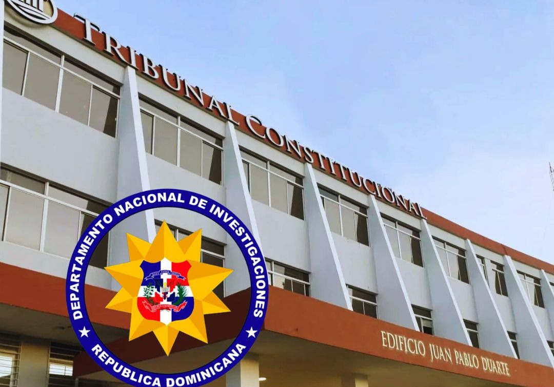 tribunal-constitucional-declara-inconstitucional-la-ley-1-24-que-crea-la-dni