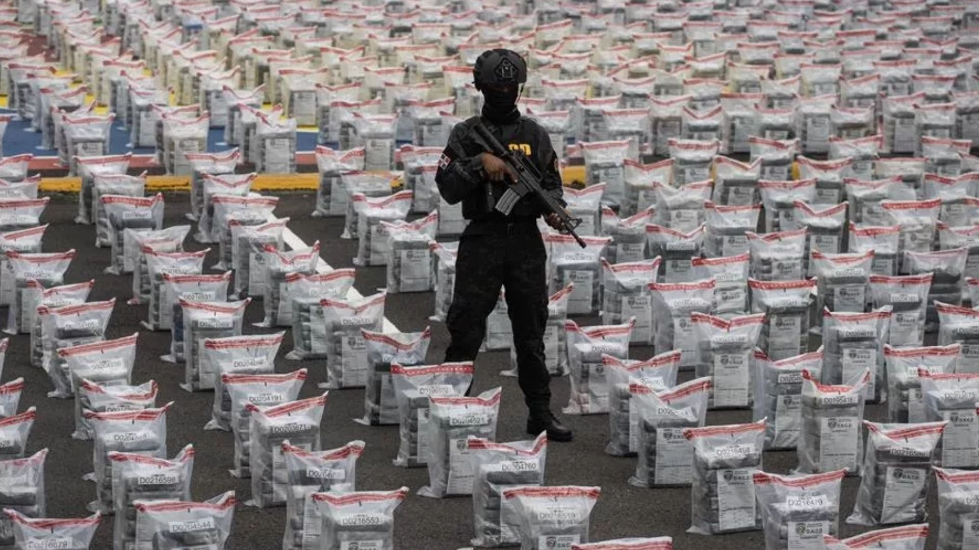afirman-que-contenedor-con-drogas-que-llego-a-rd-no-tenia-narcoticos-al-salir-de-guatemala