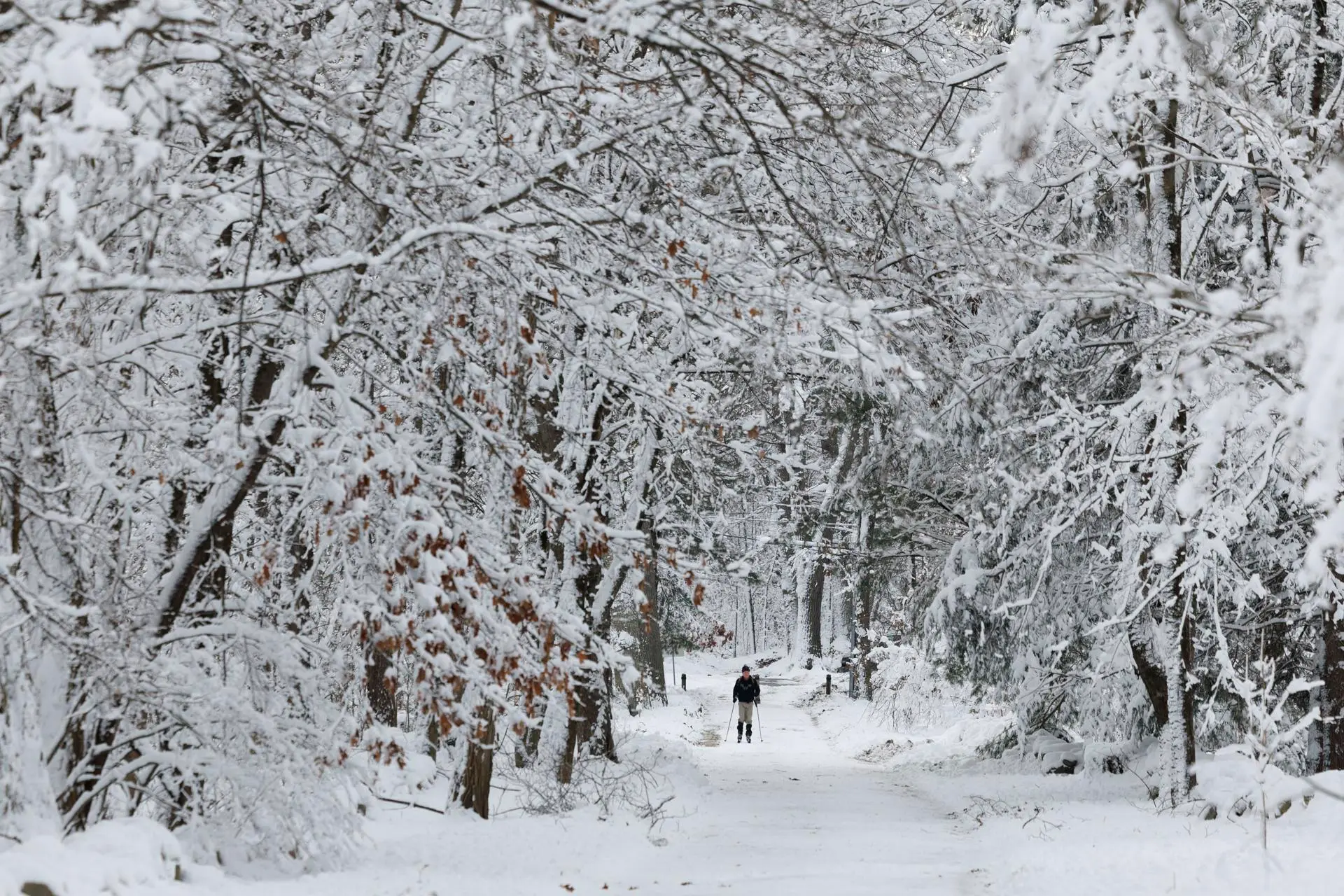 alerta-de-tormenta-invernal-para-el-norte-del-estado-nueva-york